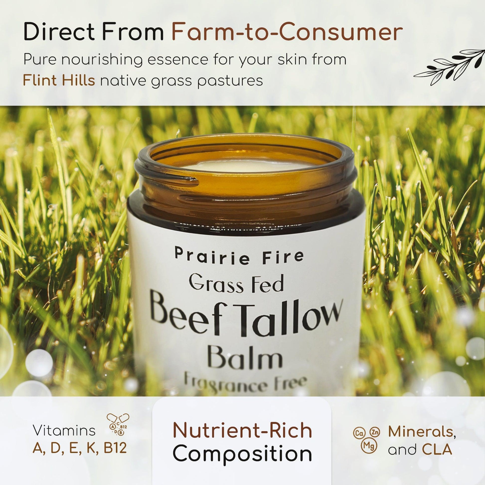Grass Fed Beef Tallow Balm - 4 oz - Made in USA - Organic Grass Fed and Finished Tallow - Moisturizing Skin Care - AVAVITA